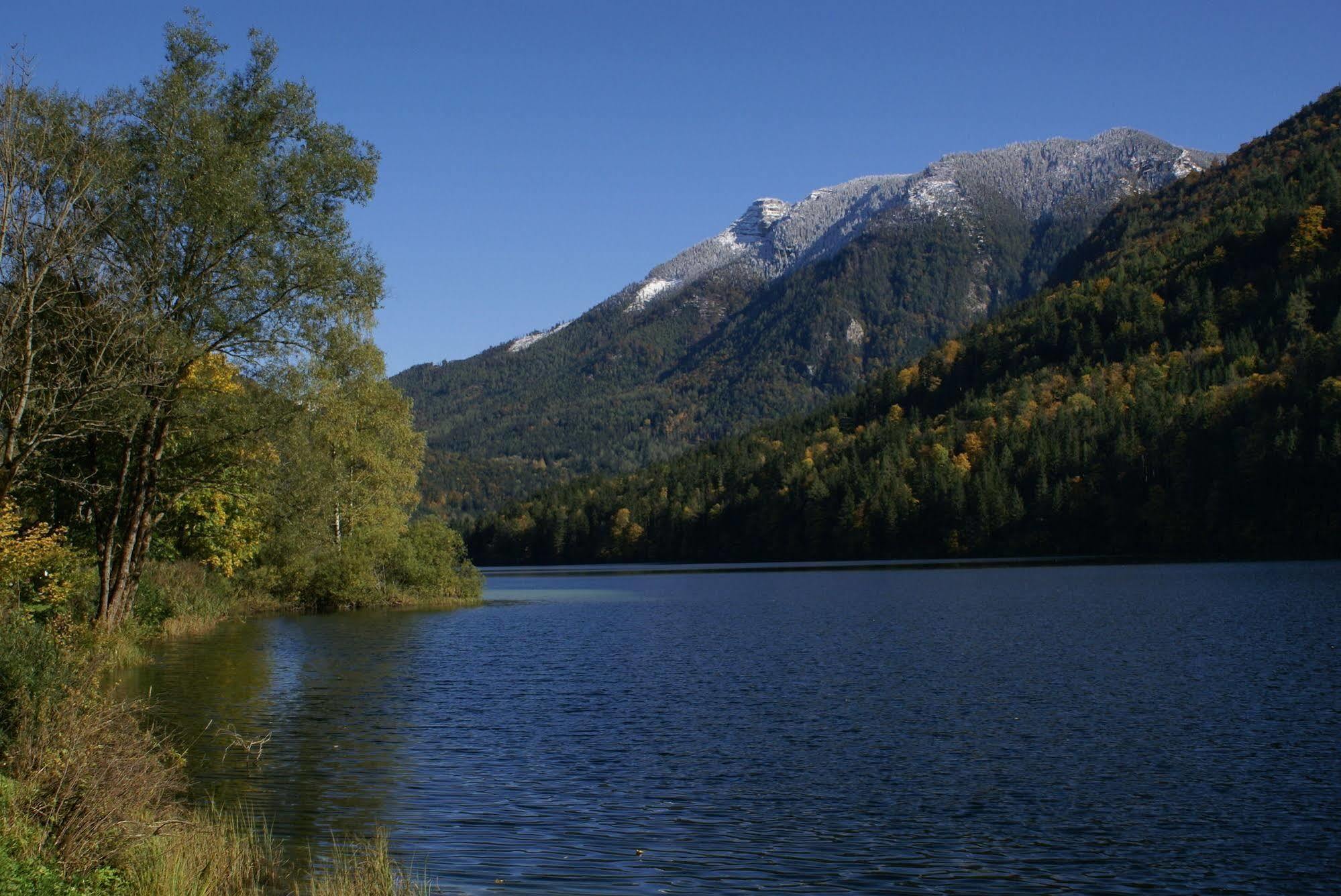Landhotel Zellerhof Lunz am See Eksteriør bilde